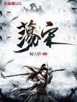 荡宋 荡宋